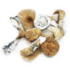 Dry Psilocybin - Image 4