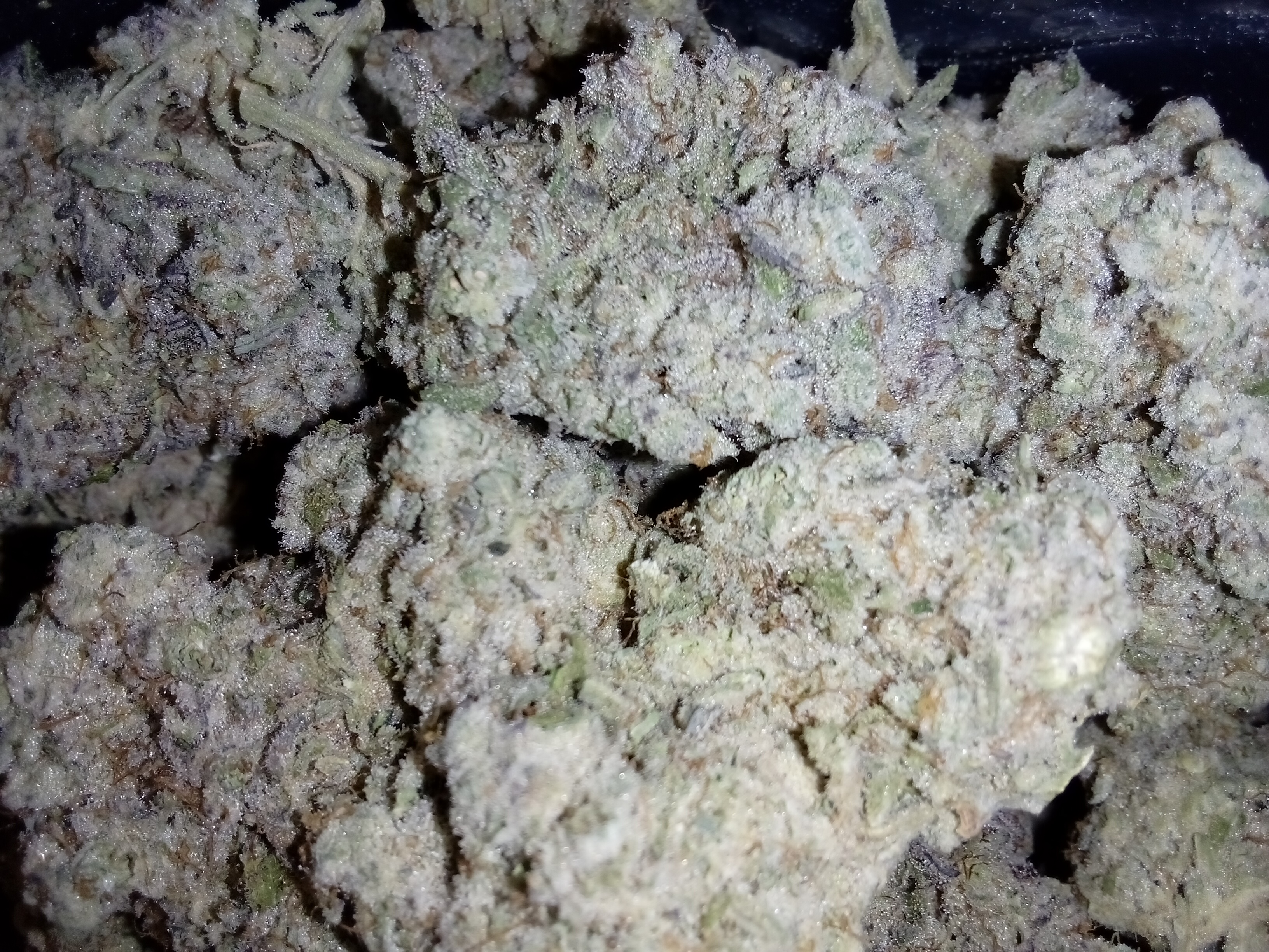1/2 lb AAAA Bud